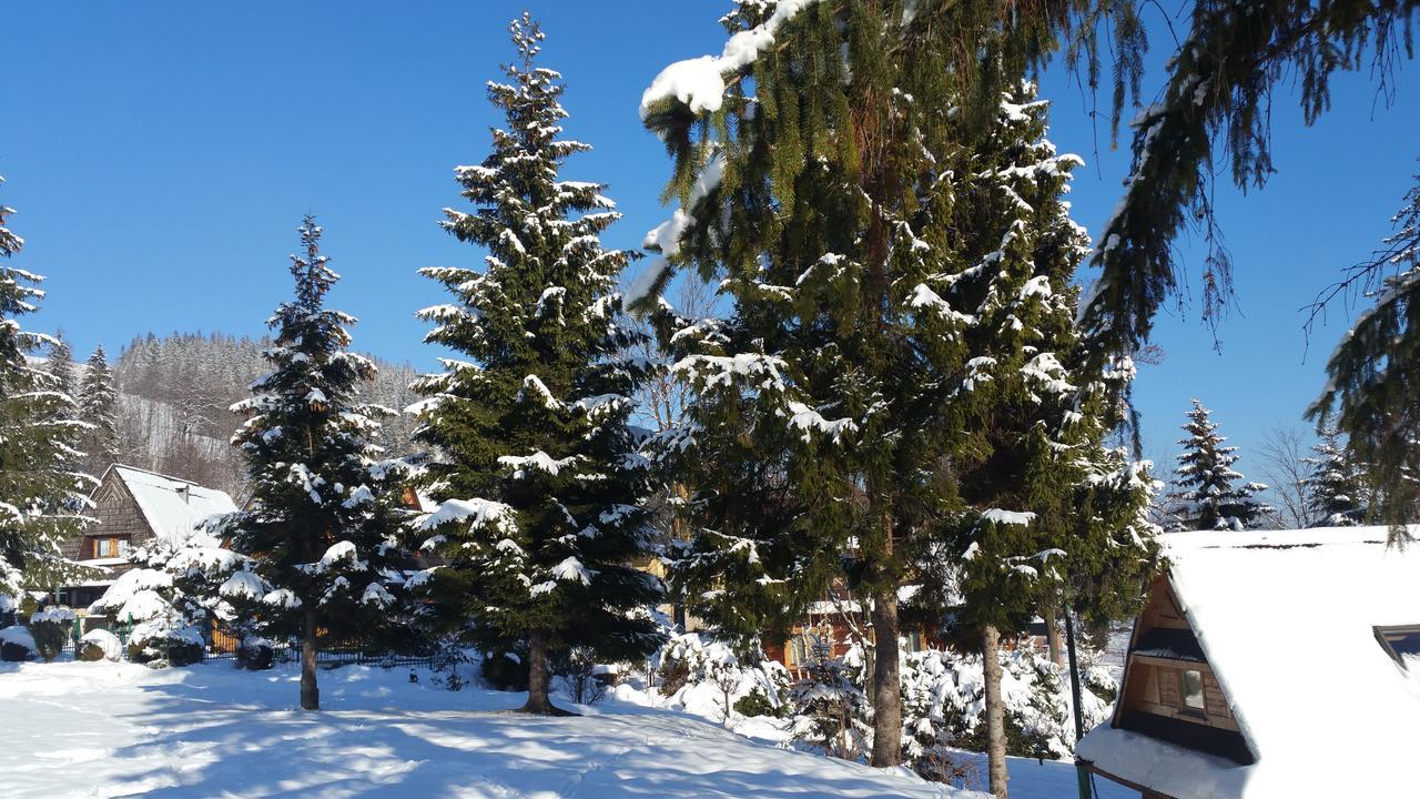Camping Harenda Pokoje Goscinne I Domki Zakopane Exterior foto